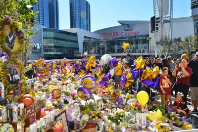 DSC_7199 (Large).JPG